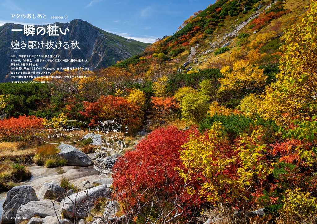 『ヤクのあしあと』 2019.秋
