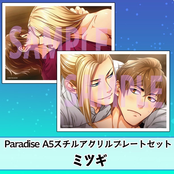 ParadiseA5スチルアクリルプレート ミツギセット 