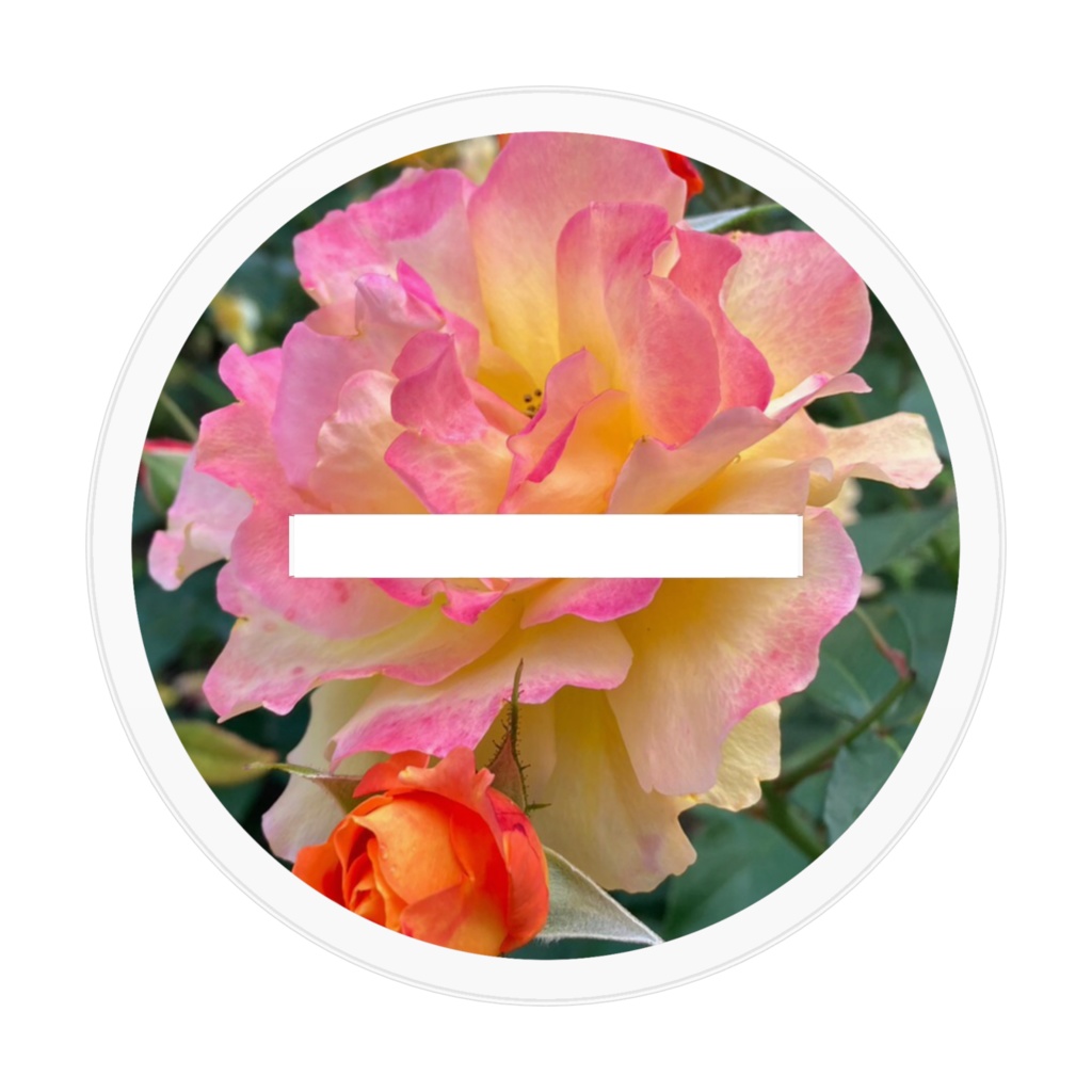 シンプルギャルきゃとう⭐︎