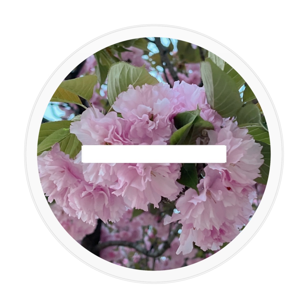 シンプルスケバンきゃとう★