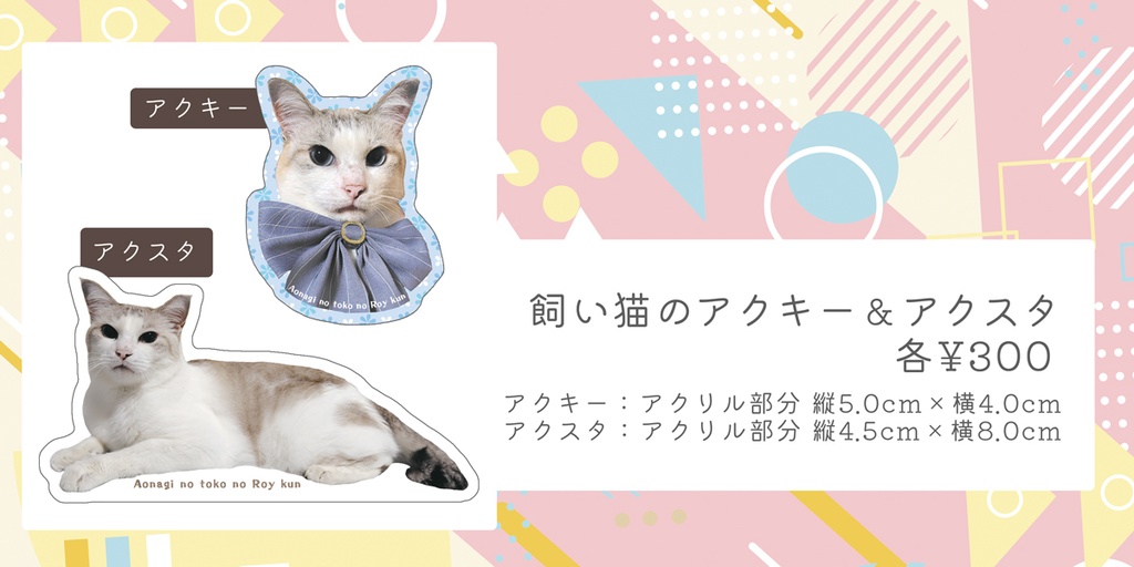 飼い猫のアクキー＆アクスタ