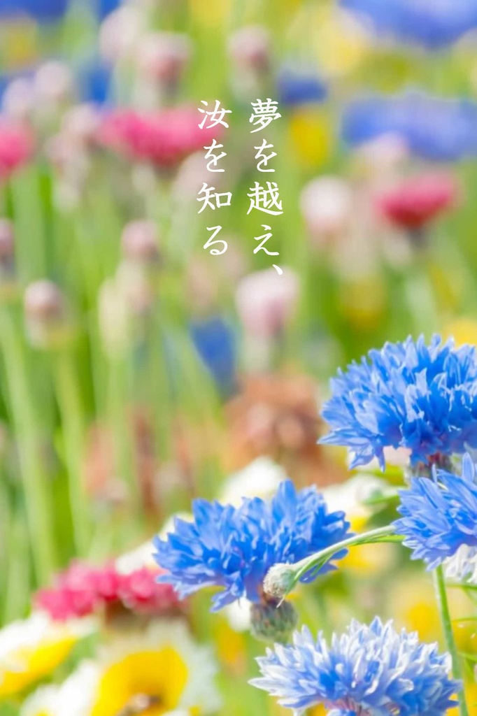 夢を越え、汝を知る