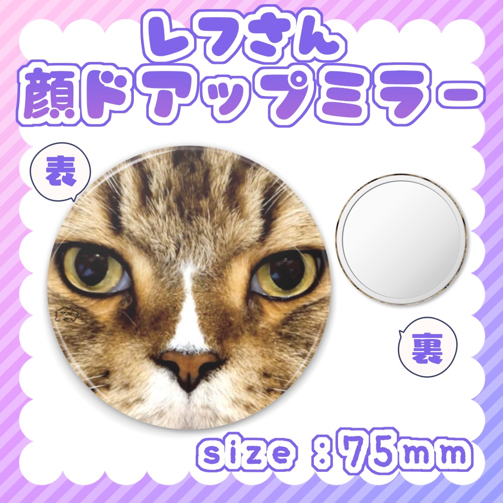 ✦レフさん顔ドアップミラー