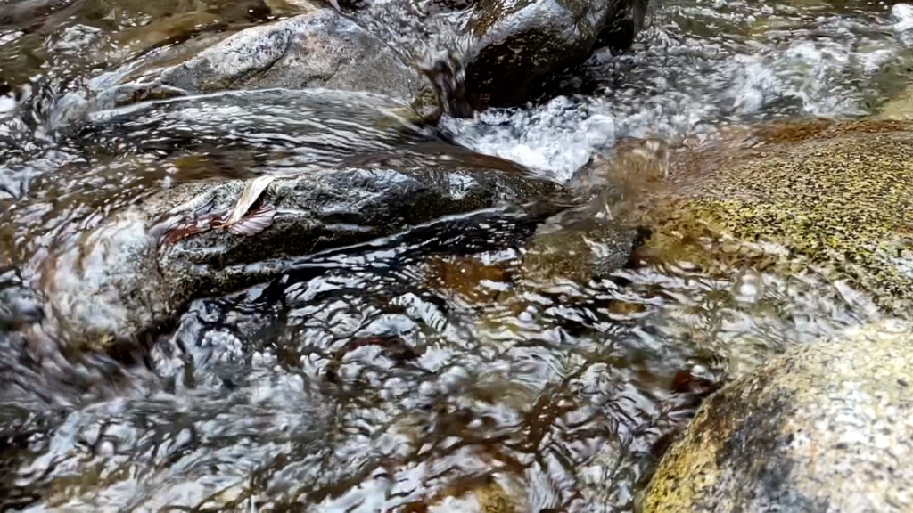 【ループ動画素材】渓流（720,1080）