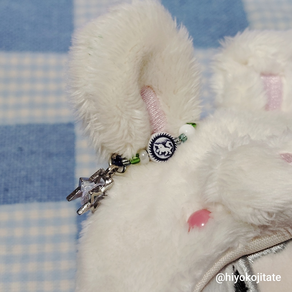 推しぬいと主のお揃いリング
