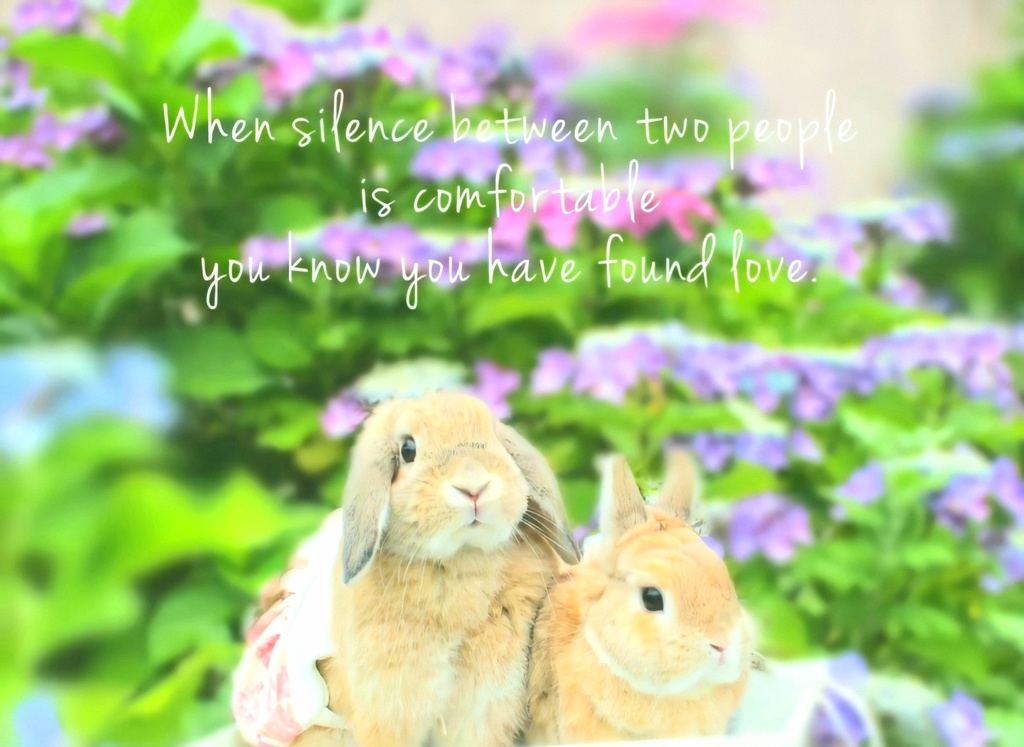 うさぎ トートバッグ 大