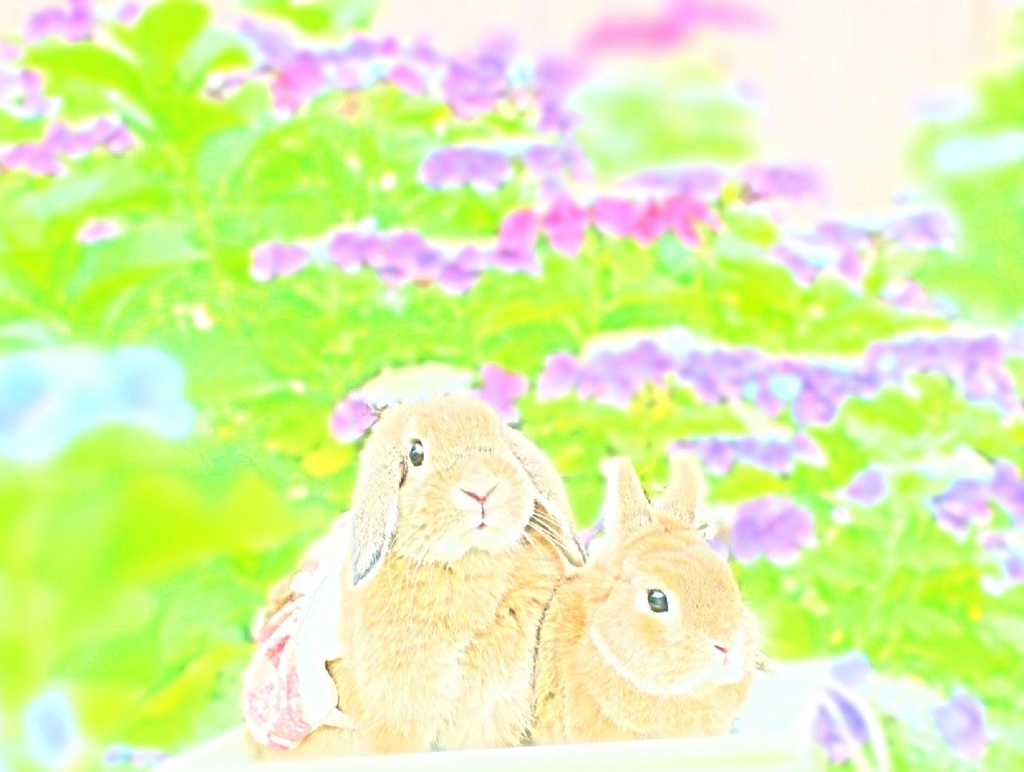 うさぎ トートバッグ 大