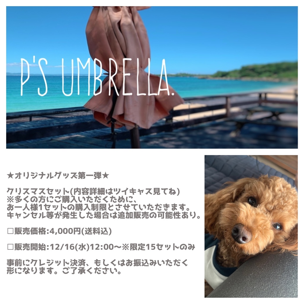 クリスマスセット