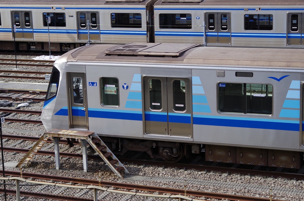 ハマチカ青帯風ストラップ