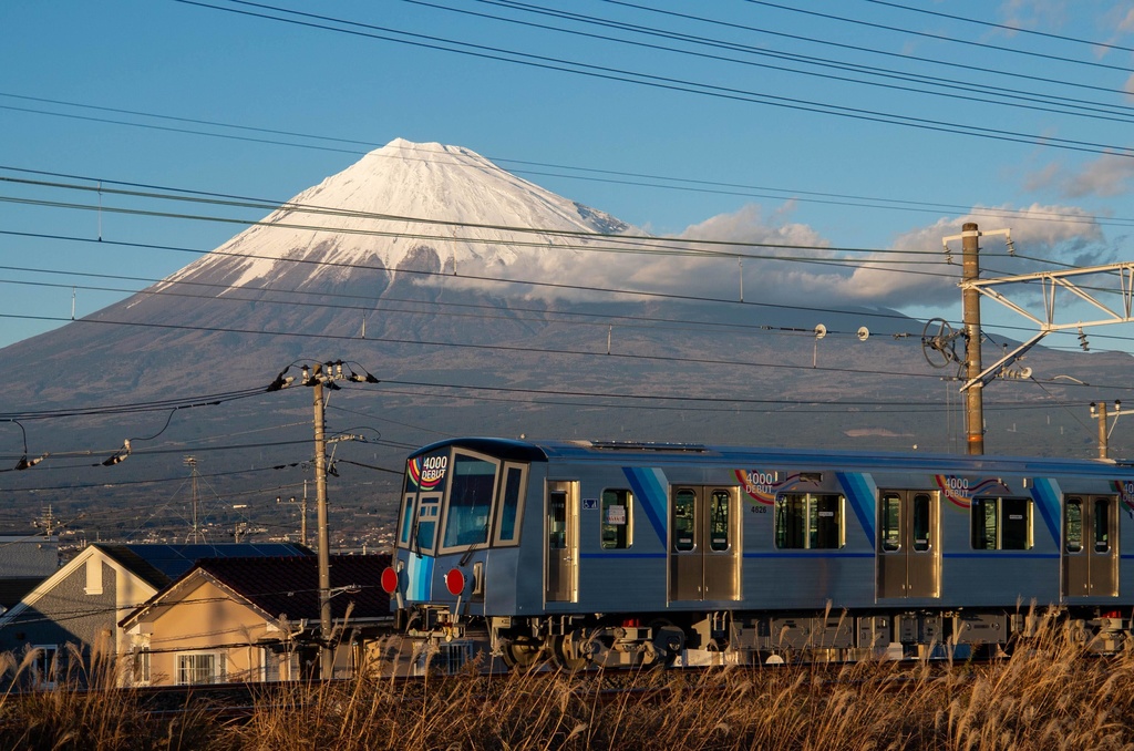 新車ストーキング!