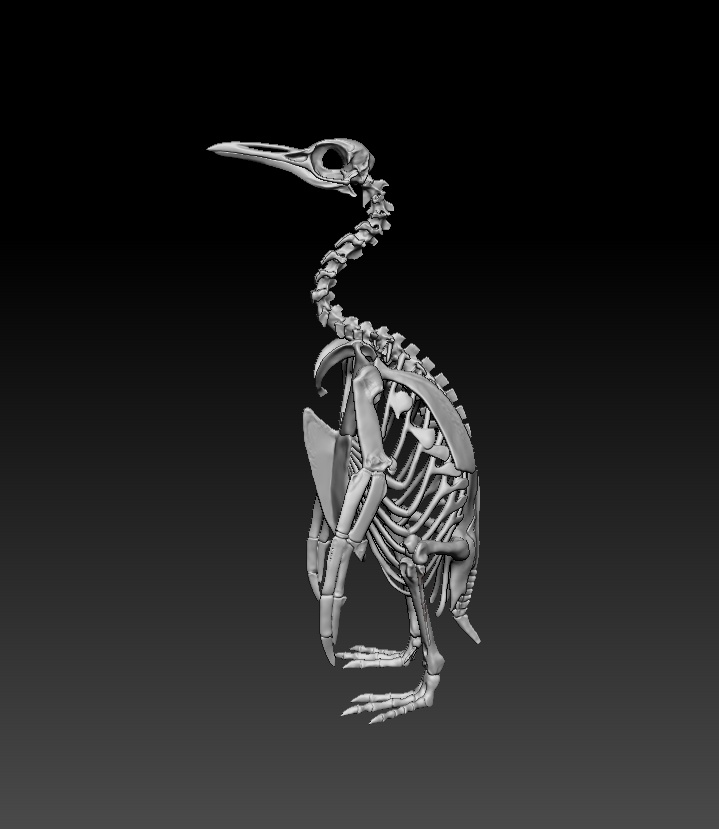 オウサマペンギン骨格フィギュア 出力用stlデータ