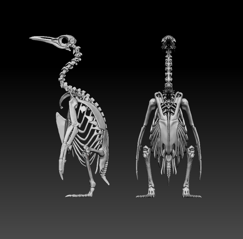 オウサマペンギン骨格フィギュア 出力用stlデータ