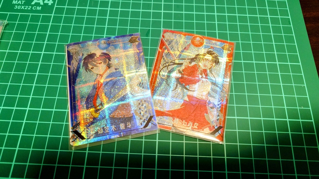 神気覚醒エクセディア ブランクカード