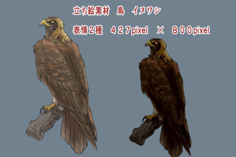 立ち絵素材 鳥セット カラス フクロウ ワシ - あ行。(伝奇道) - BOOTH