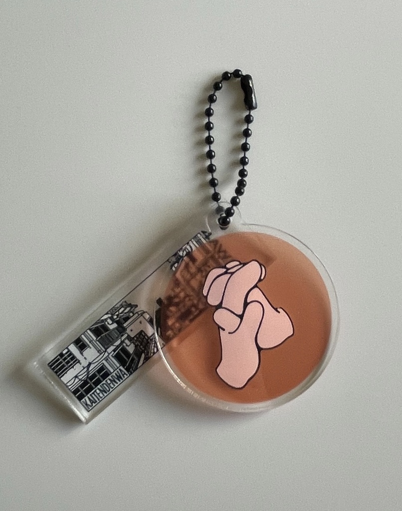 GOOD LUCKアクキー