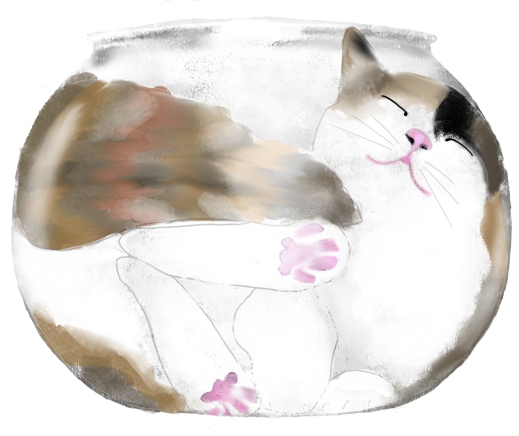 猫は液体タンブラー