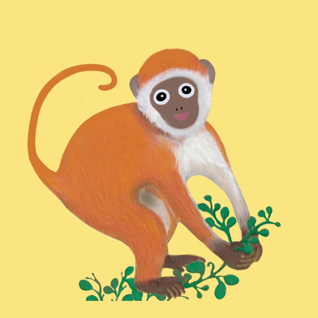 オレンジモンキー 缶ミラー大