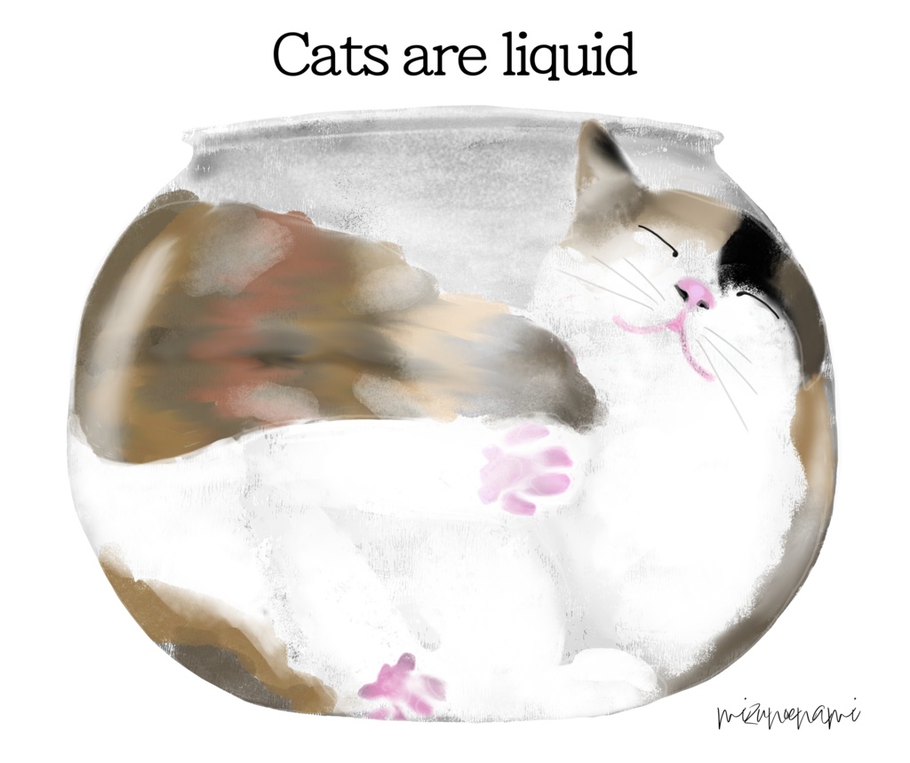 猫は液体 メガネ拭き