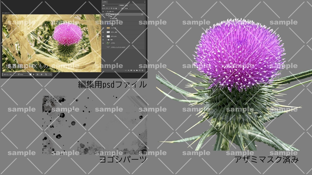 「境界線に咲くもの - アザミと包帯のコラージュ素材セット」完全版