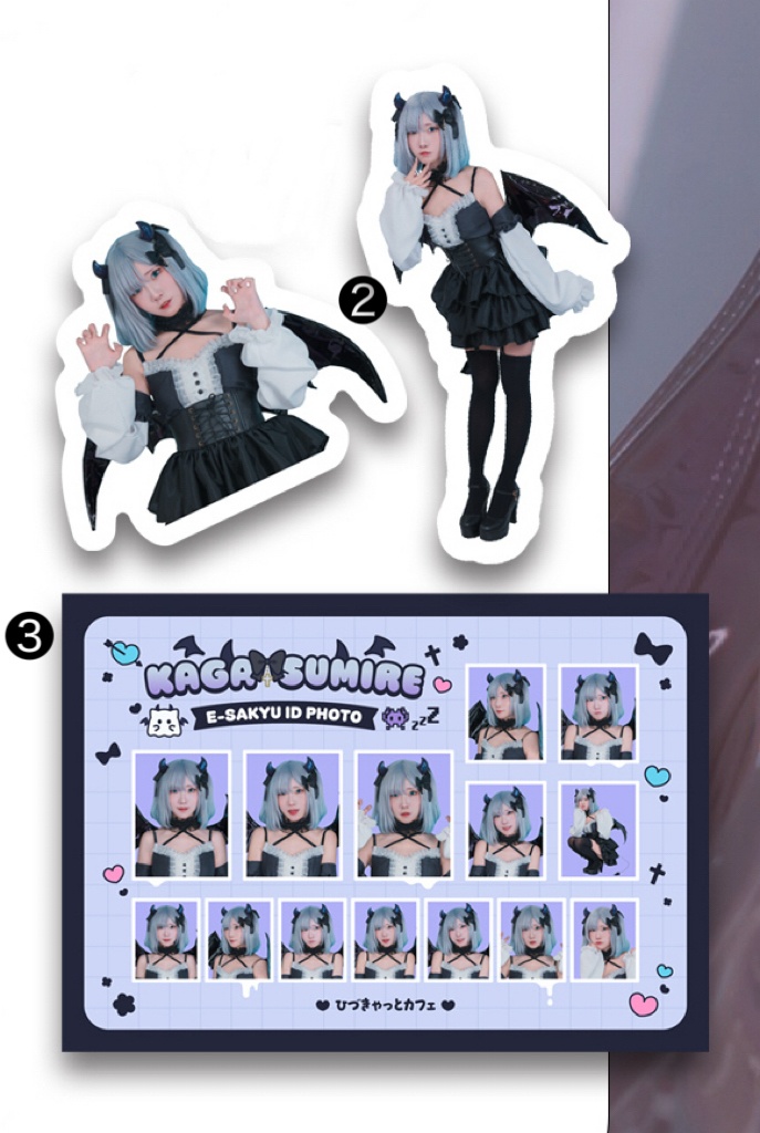 【VGGC11th】花芽すみれ・花芽姉妹コスプレ写真集&グッズ