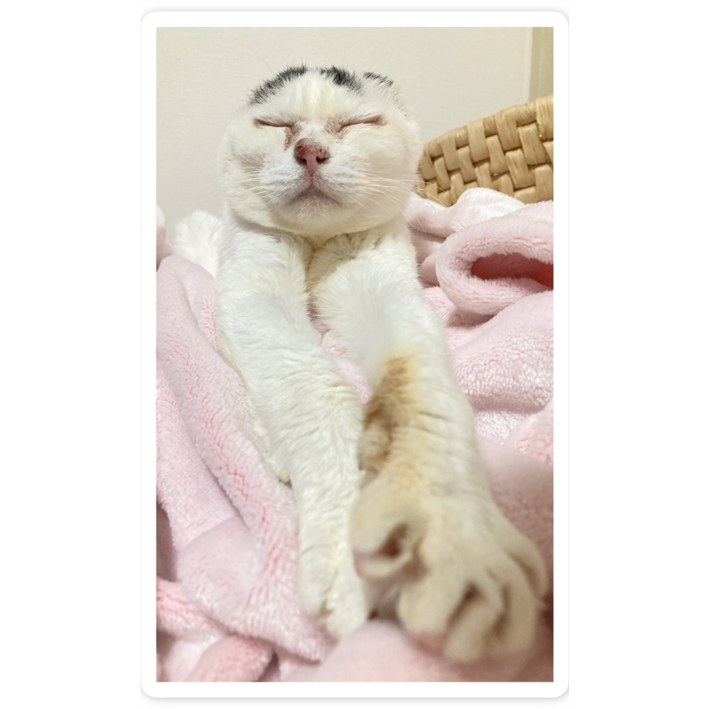 スマホステッカー(レモン)