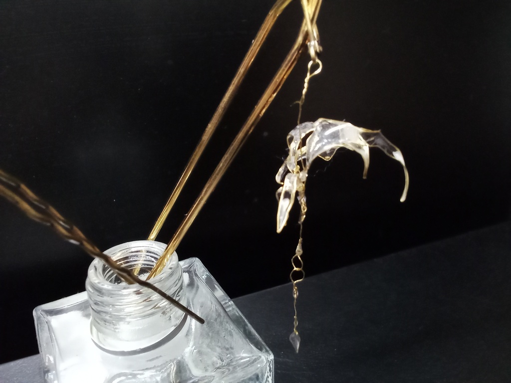 墓守の髪に咲く花