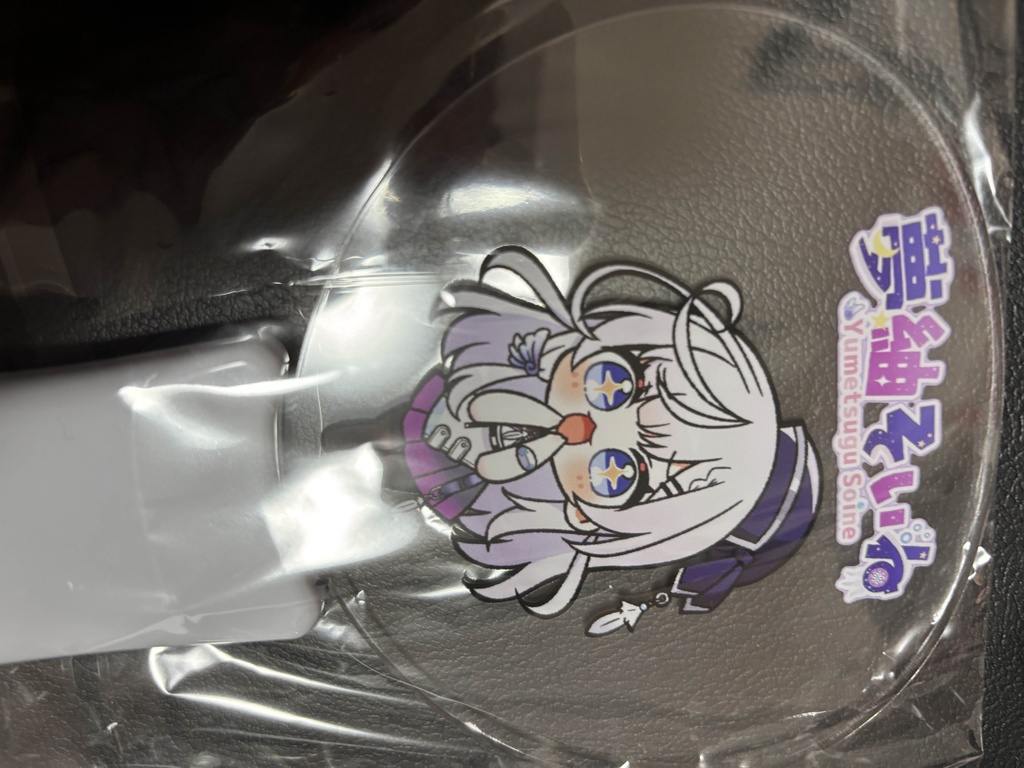 Fanesta2025ライブグッズ(再販!)