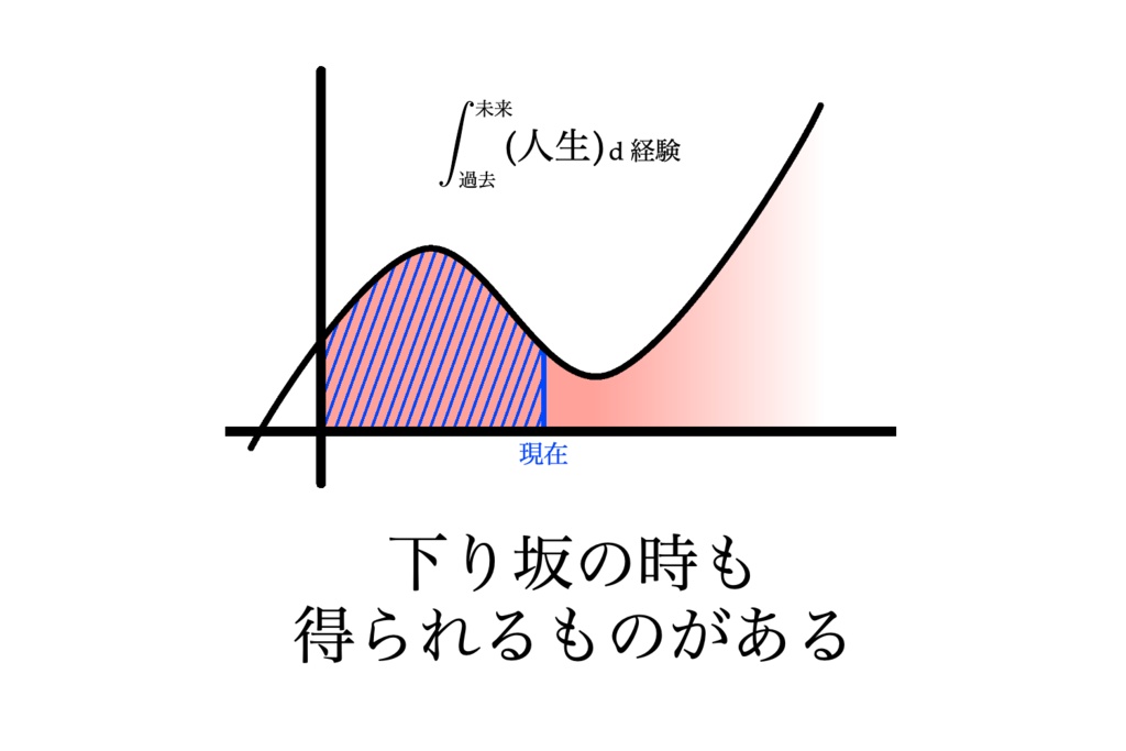 【リケほいTシャツ】積分