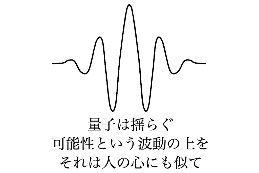 【リケほいTシャツ】波動関数