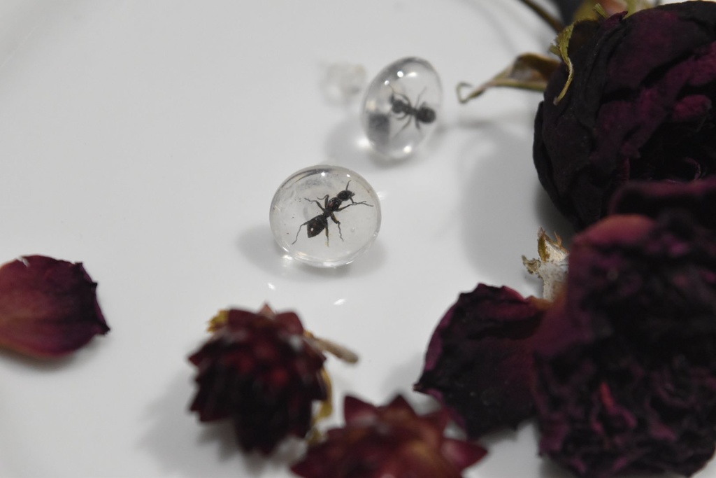 蟻　ピアス