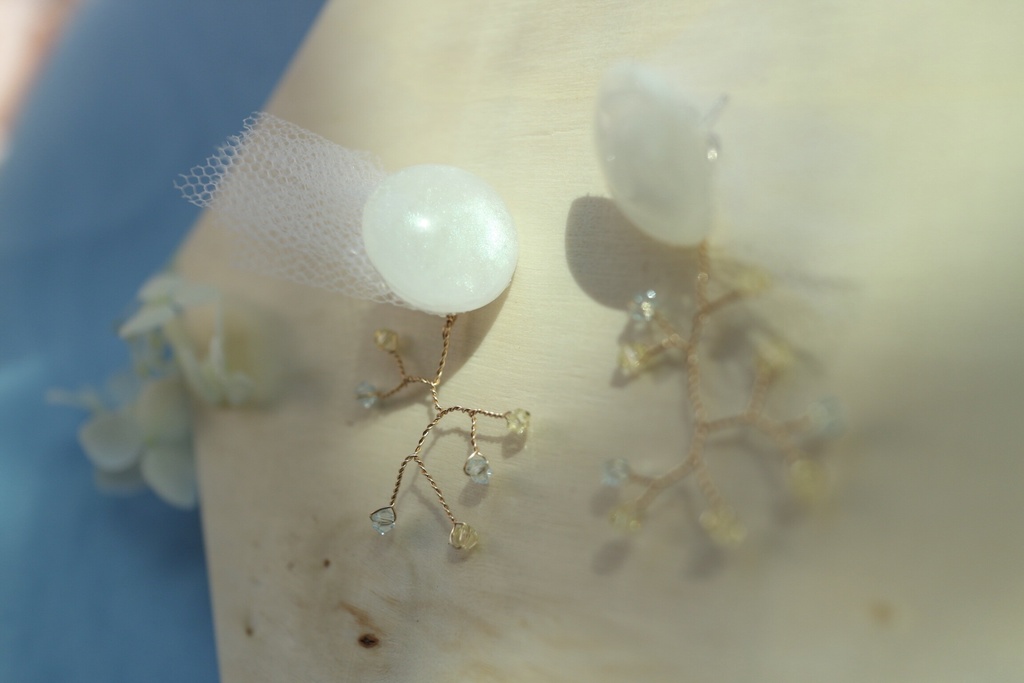 望普 イメージピアス/イヤリング