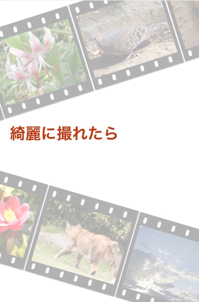 綺麗に撮れたら