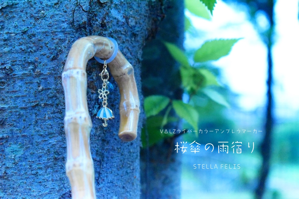 桜傘の雨宿り