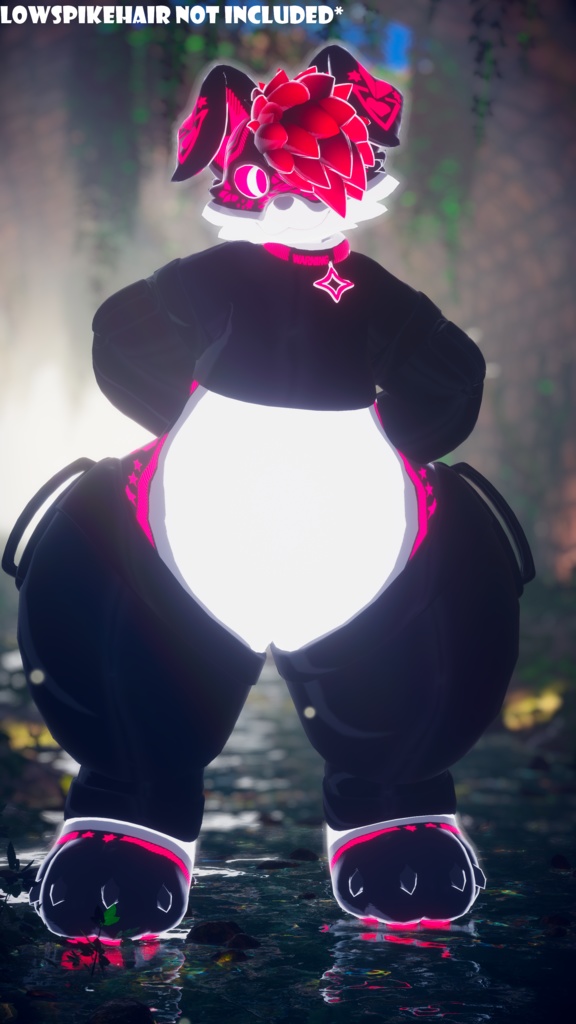 Inflatable Regulus Kit (Read Before Buying)