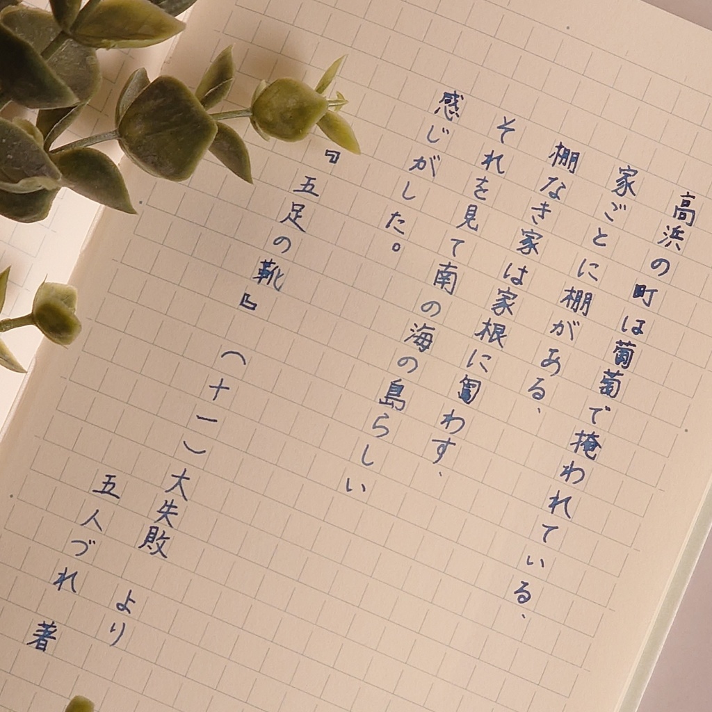 五足の靴・天草(ごそくのくつ/あまくさ・万年筆インク)