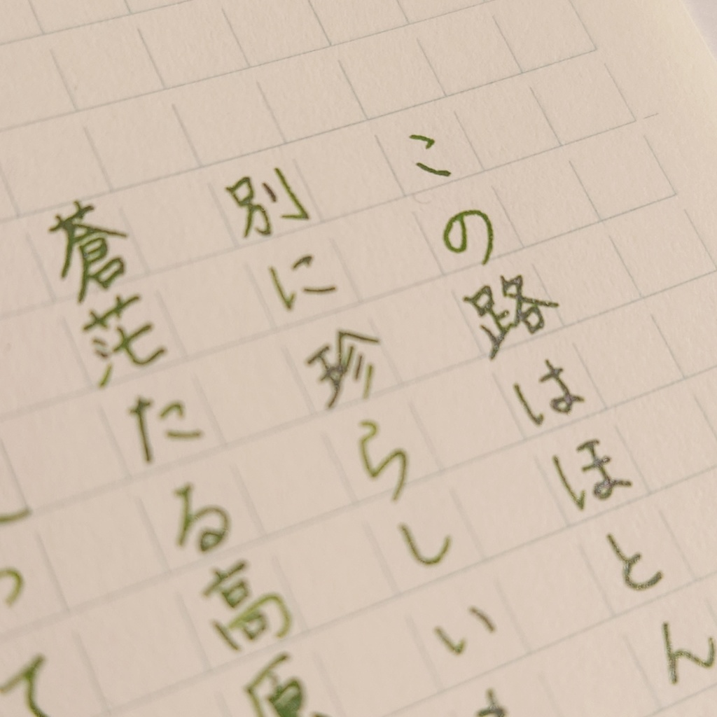 五足の靴・阿蘇(ごそくのくつ/あそ・万年筆インク)