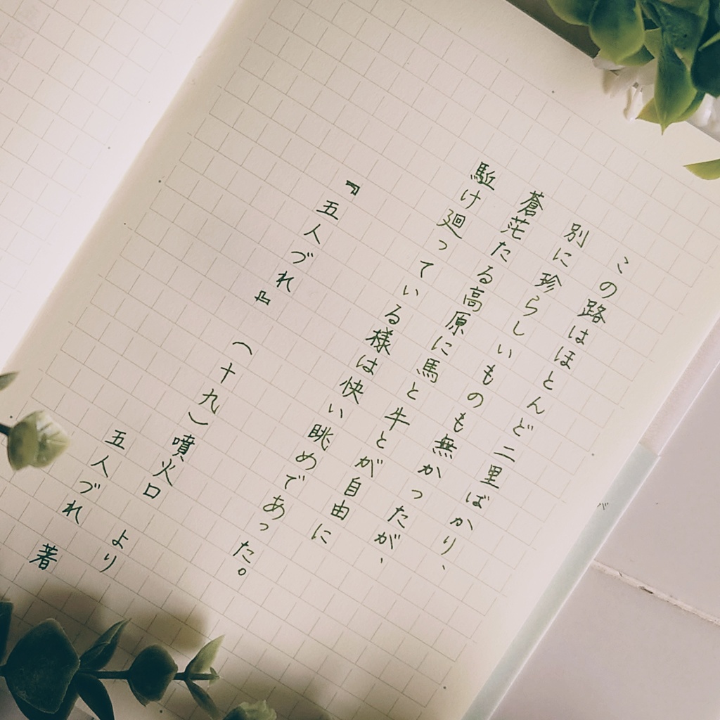 五足の靴・阿蘇(ごそくのくつ/あそ・万年筆インク)