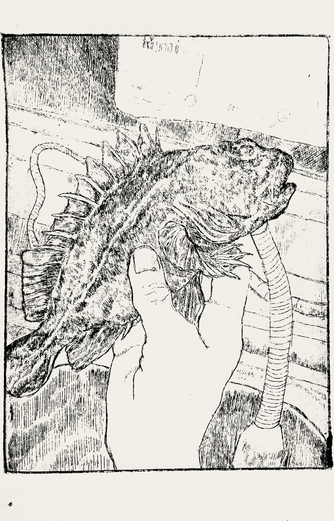 カサゴ