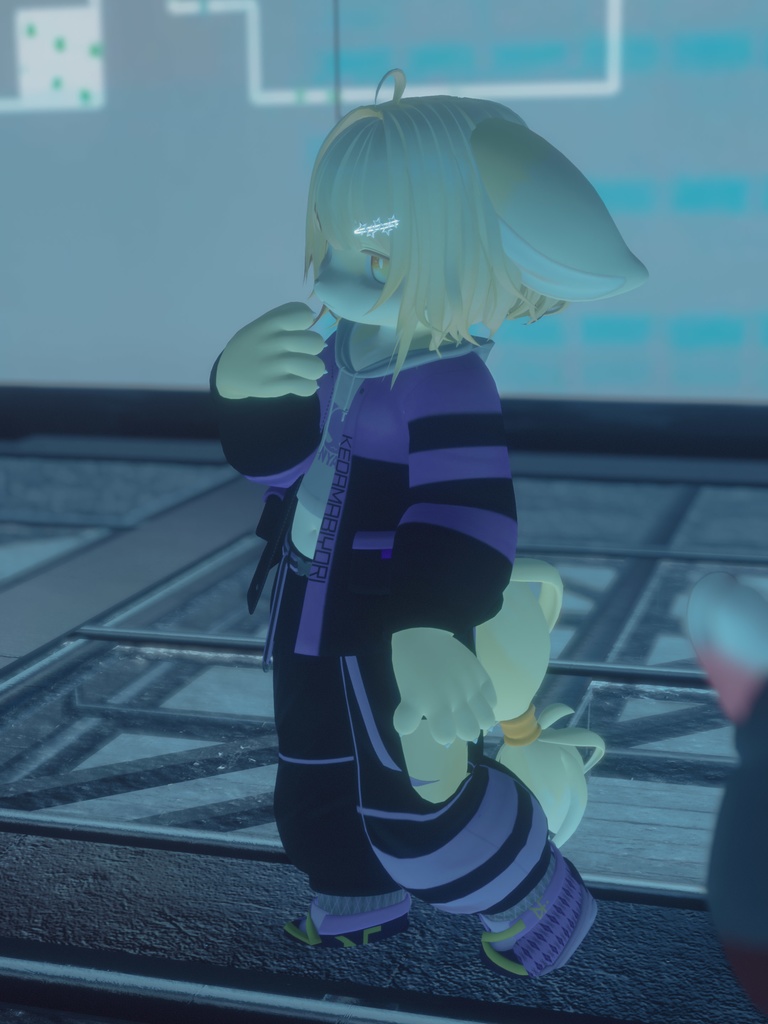 【VRChat想定3Dモデル】ストリートウェア「Strelitzia」