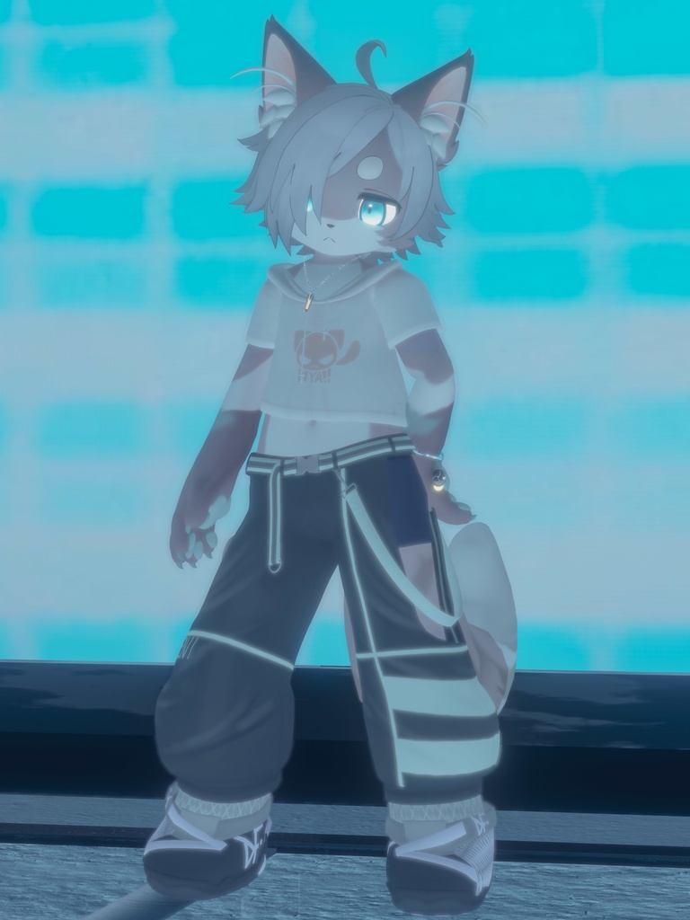 【VRChat想定3Dモデル】ストリートウェア「Strelitzia」