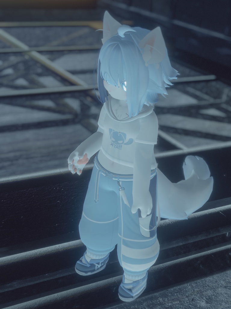 【VRChat想定3Dモデル】ストリートウェア「Strelitzia」