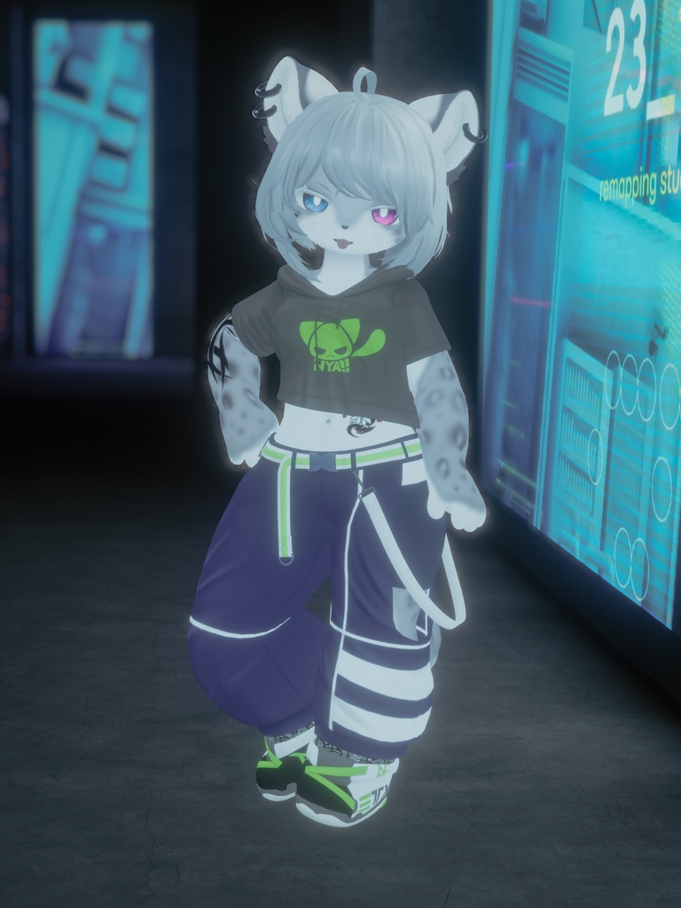 【VRChat想定3Dモデル】ストリートウェア「Strelitzia」