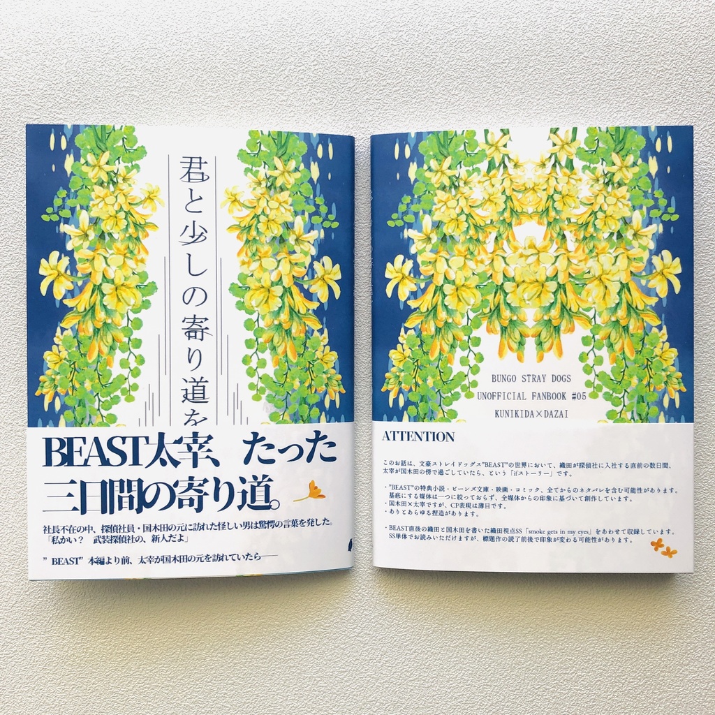 君と少しの寄り道を 国木田が太宰を拾った日