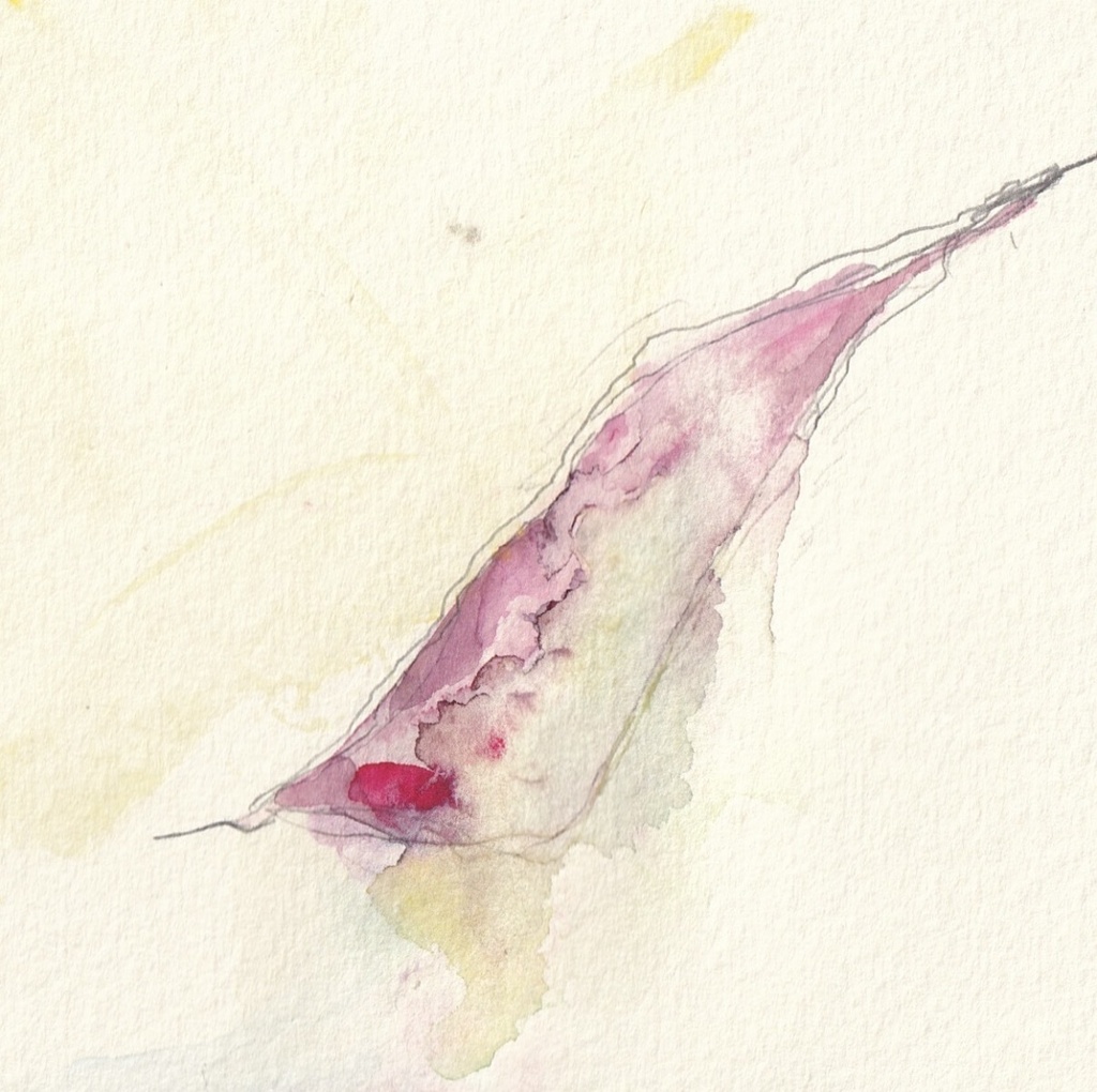 原画　表紙　きず