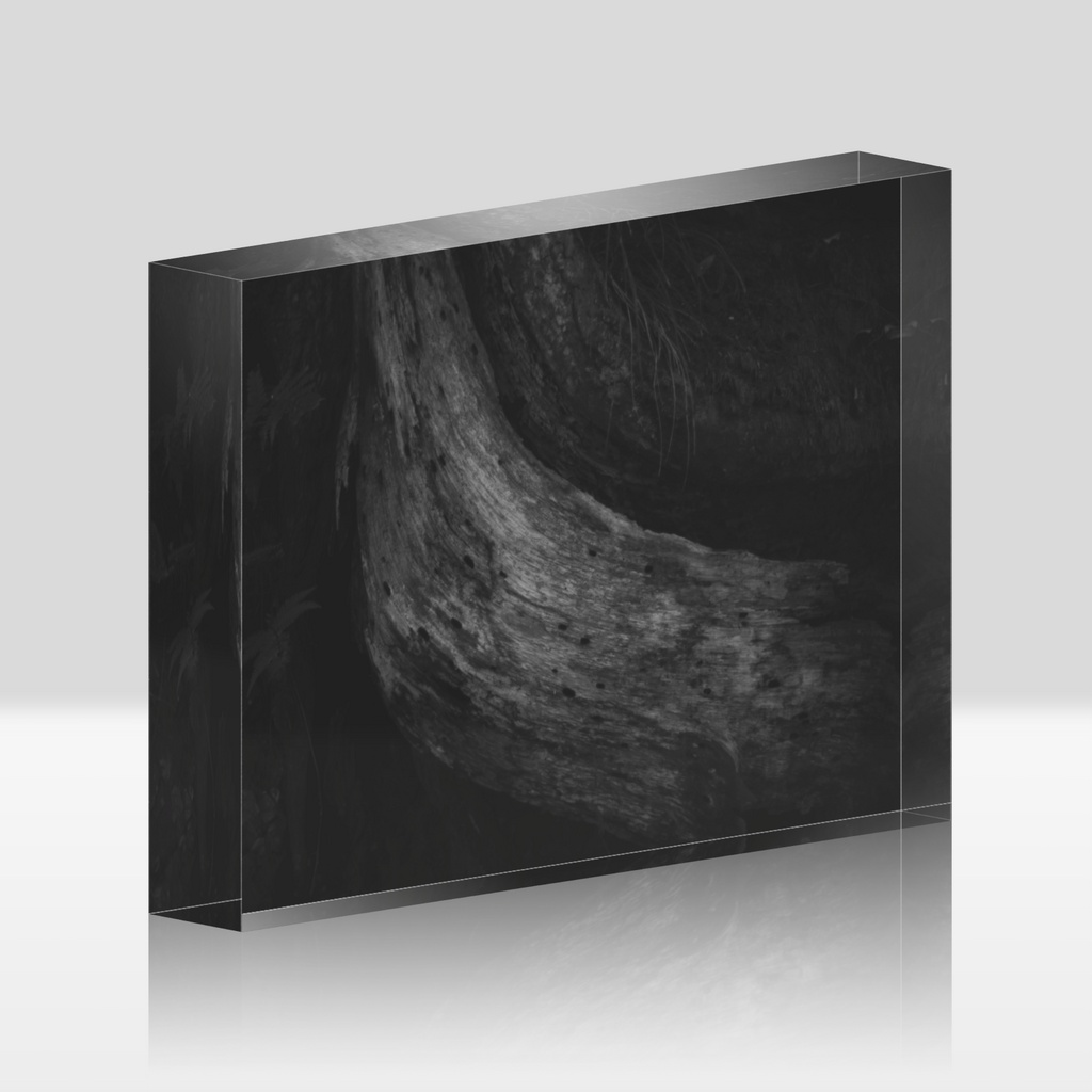 写真展「impression」アクリルブロック　Tomo「刻の一線」