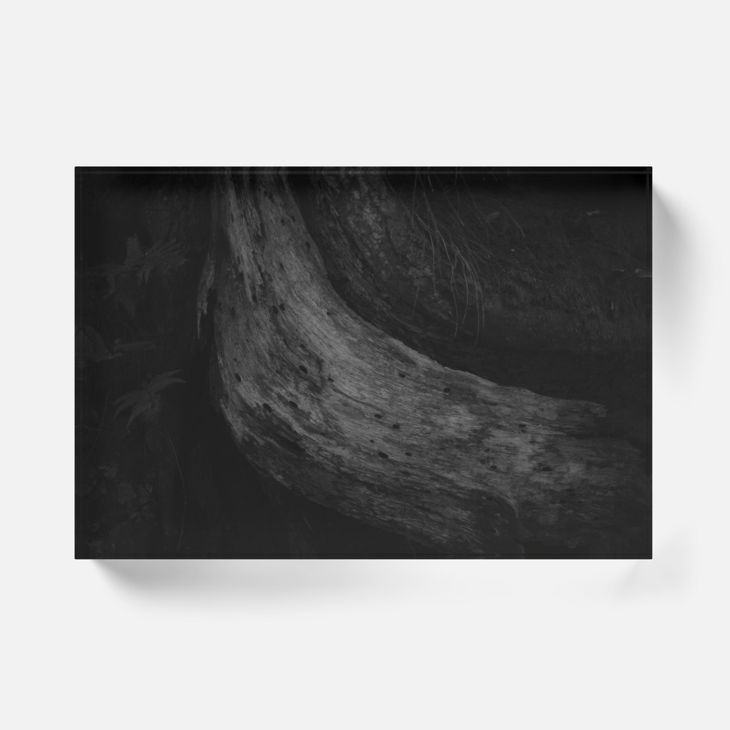 写真展「impression」アクリルブロック Tomo「刻の一線」