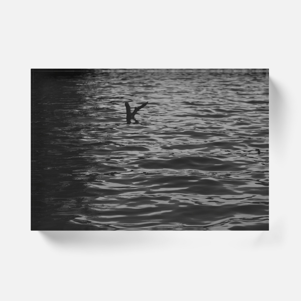 写真展「impression」アクリルブロック Yuiko Ishikawa「やさしさ」