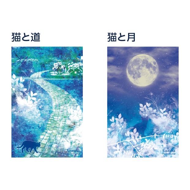 透明ポストカード