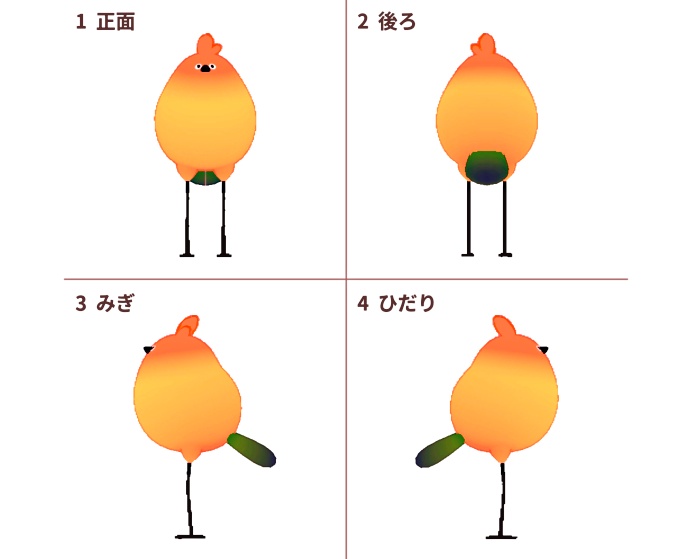 ばーどそうる【bird/鳥】