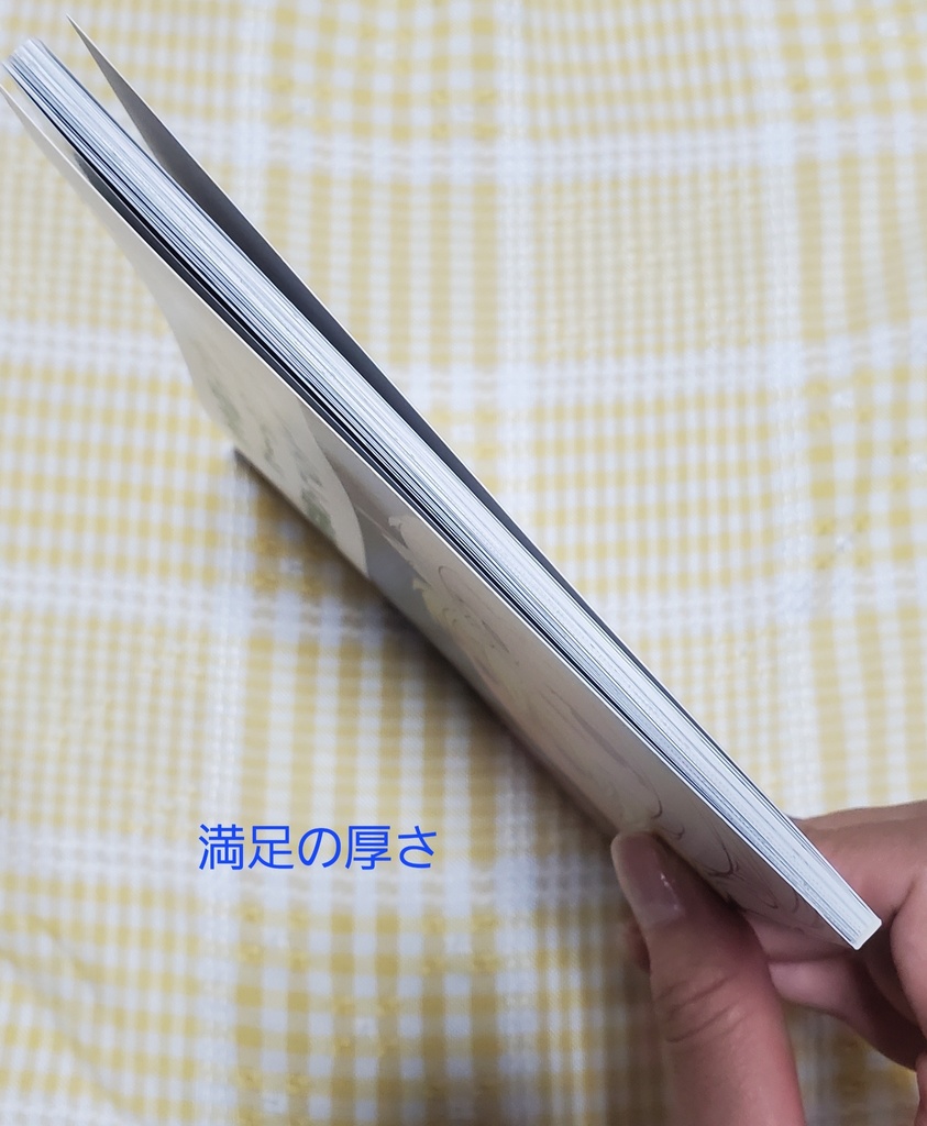 FE風花雪月って面白かったな~!と 数年後に読み返して浸る本